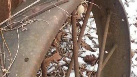 14th Sideline Bungalow - Sideline-Bungalow1.jpg