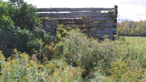 robertreid's - Little-Egypt-(ghost-town)3.jpg