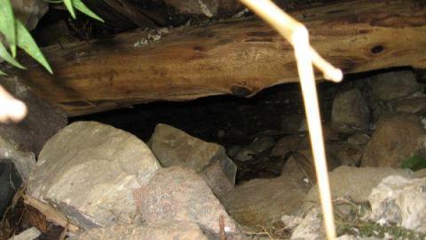 Little Egypt (ghost town) cover photo