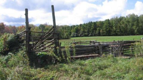 robertreid's - Little-Egypt-(ghost-town)7.jpg