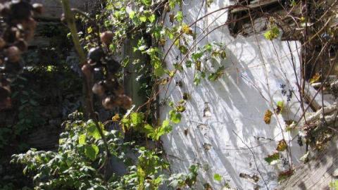 robertreid's - Little-Egypt-(ghost-town)9.jpg