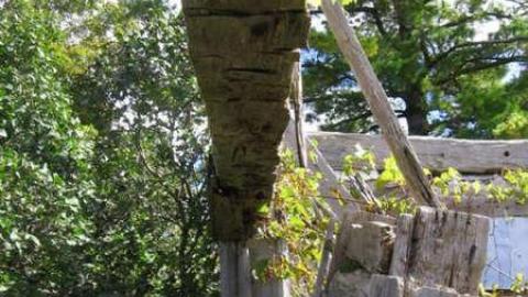 robertreid's - Little-Egypt-(ghost-town)10.jpg