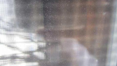 Whitevale and Brock photo 2