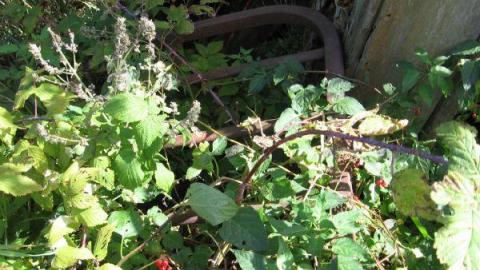 robertreid's - Little-Egypt-(ghost-town)11.jpg