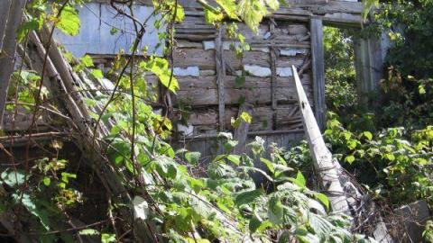 Little Egypt (ghost town) photo 5