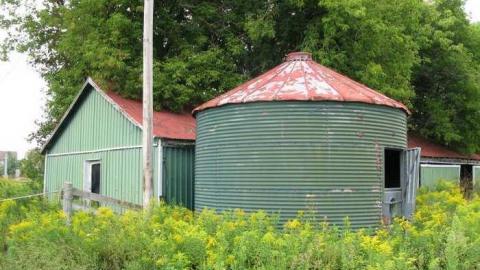 Who Let The Cows Out? - Tisk-Tisk,-Taska34.jpg