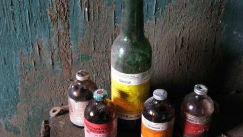 Who Let The Cows Out? cover photo