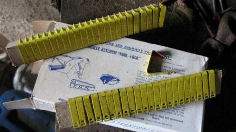 Who Let The Cows Out? - Tisk-Tisk,-Taska32.jpg