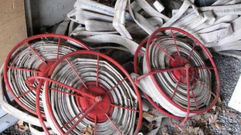 Who Let The Cows Out? - Tisk-Tisk,-Taska38.jpg