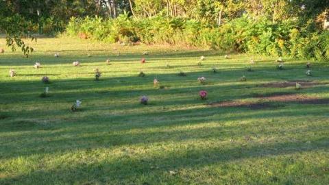 Visiting Sept 2013 - Mimicos-Potters-Field2.jpg