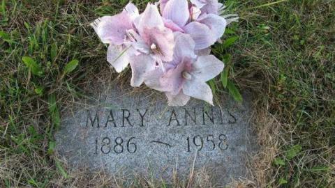 Visiting Sept 2013 - Mimicos-Potters-Field7.jpg