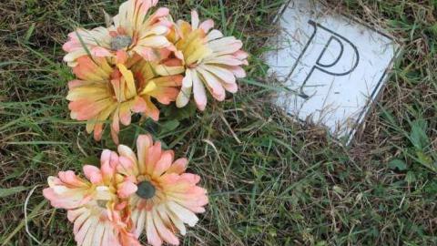 Photo from Visiting Sept 2013