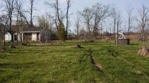 Buildings in the Bush - br_02.jpg