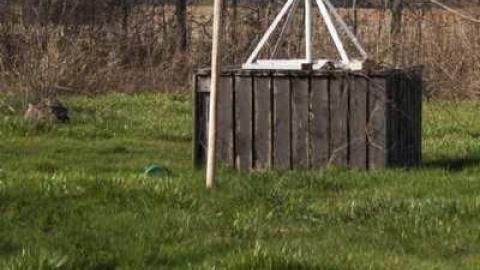 Photo from Buildings in the Bush