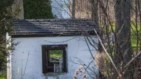 Photo from Buildings in the Bush