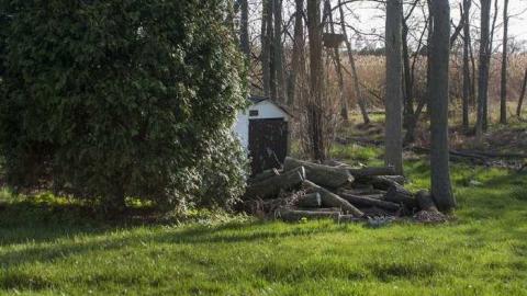 Buildings in the Bush - br_07.jpg