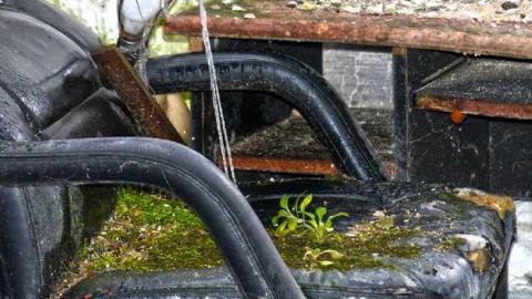 Fire alway's wins - 16.jpg