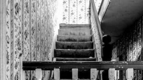 Metha-don't - Mt-Wolfe-Farm142.jpg