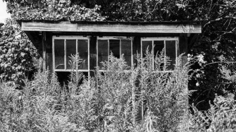 August 2013 - DSC_1212.jpg