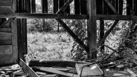 August 2013 - DSC_1244.jpg