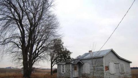 Dec. 1 2013 - The-Mallard-Nest11.jpg