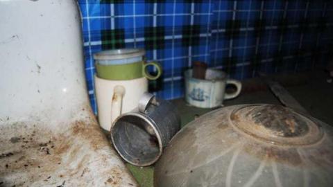 Dec. 1 2013 - The-Mallard-Nest13.jpg