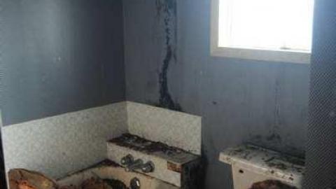 Dec. 1 2013 - DSC_0189.jpg