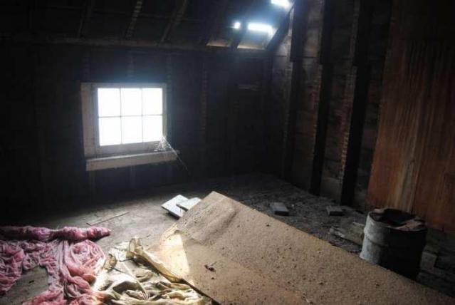 Dom Perignon photo 3