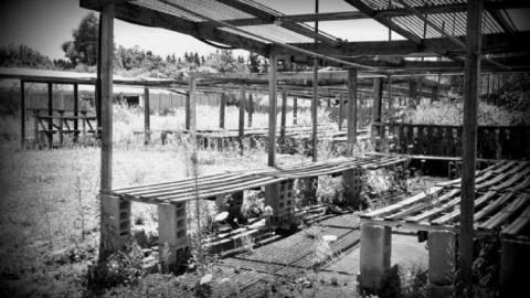 A grim day - Garden-Center16.jpg