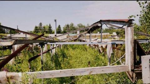 A grim day - Garden-Center18.jpg