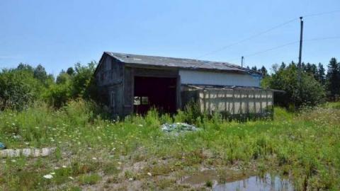 A grim day - Garden-Center36.jpg