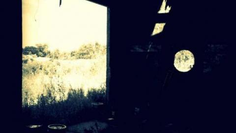 A grim day - Garden-Center34.jpg