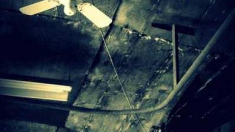 A grim day - Garden-Center37.jpg