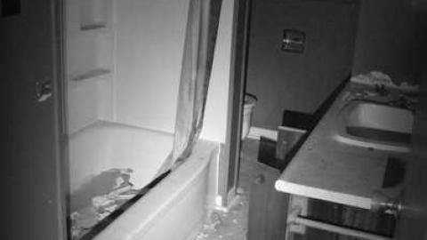 Blank Slate - Plain-Bungalow12.jpg