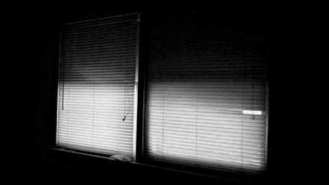 Blank Slate - Plain-Bungalow8.jpg