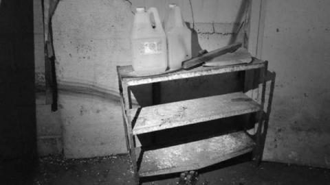 Lots of stuff - 101_031-DSC_0133.jpg