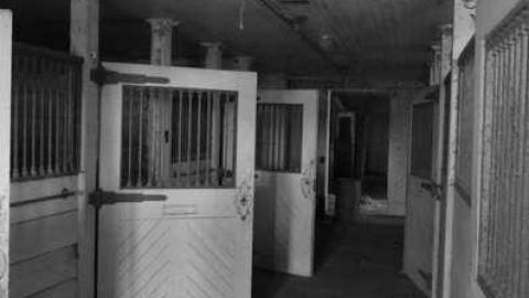 2012 Memories - MagnerRobson-Home-(1860)55.jpg