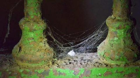 2012 Memories - MagnerRobson-Home-(1860)59.jpg