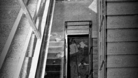 Summertime - Bowmanville-Senior-Public-School294.jpg