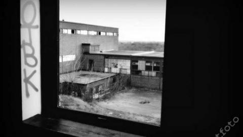 Summertime - Bowmanville-Senior-Public-School168.jpg