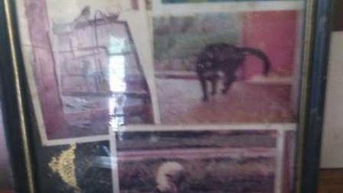 Fern's memories.  - Abandoned-Cat-Lady-House141.jpg