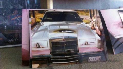 Fern's memories.  - Abandoned-Cat-Lady-House142.jpg