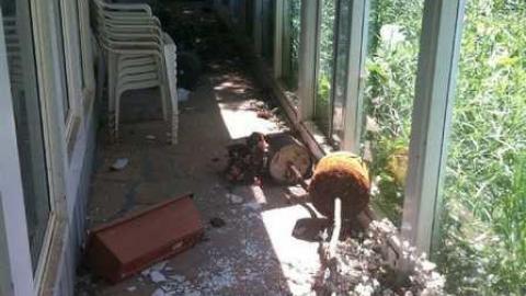 Fern's memories.  - Abandoned-Cat-Lady-House174.jpg