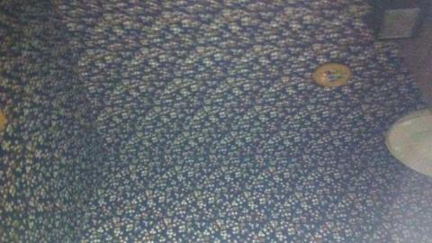 Fern's memories.  - Abandoned-Cat-Lady-House181.jpg