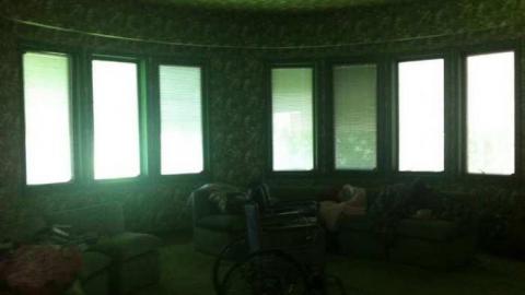 Fern's memories.  - Abandoned-Cat-Lady-House138.jpg