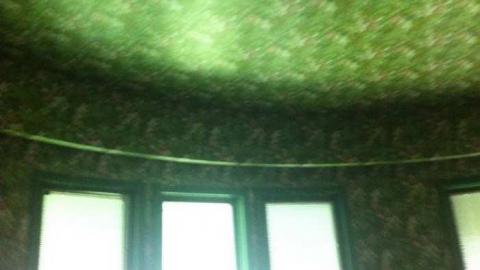 Fern's memories.  - Abandoned-Cat-Lady-House139.jpg