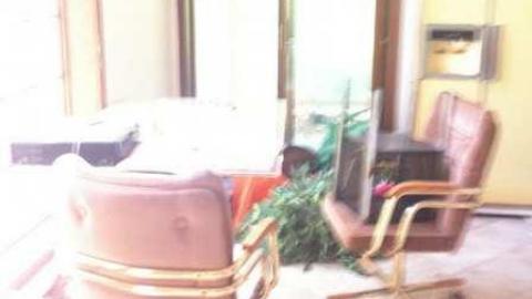 Fern's memories.  - Abandoned-Cat-Lady-House176.jpg