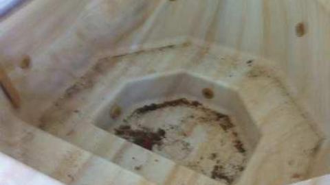 Fern's memories.  - Abandoned-Cat-Lady-House407.jpg