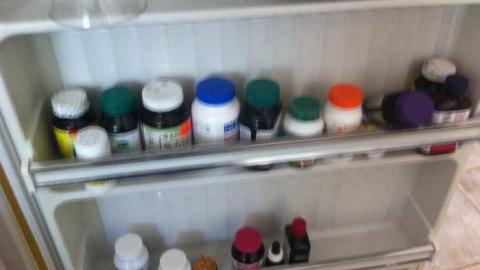 Fern's memories.  - Abandoned-Cat-Lady-House3.jpg