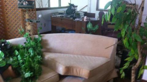 Fern's memories.  - Abandoned-Cat-Lady-House130.jpg